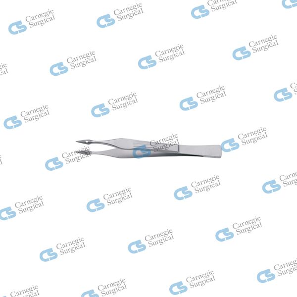 WALTER-CARMALT Splinter forceps straight