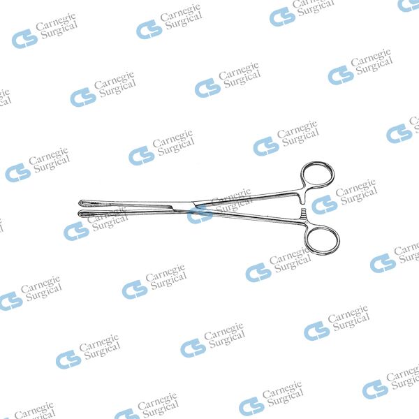 RAMPLEY Sponge forceps