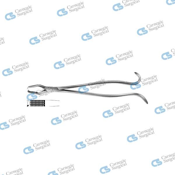 LANE Bone holding forceps
