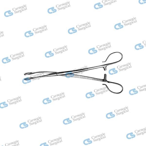 BLOHMKE Tonsil seizing forceps