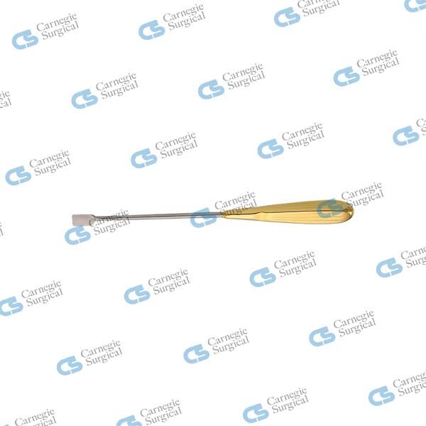Temporal T- Dissector