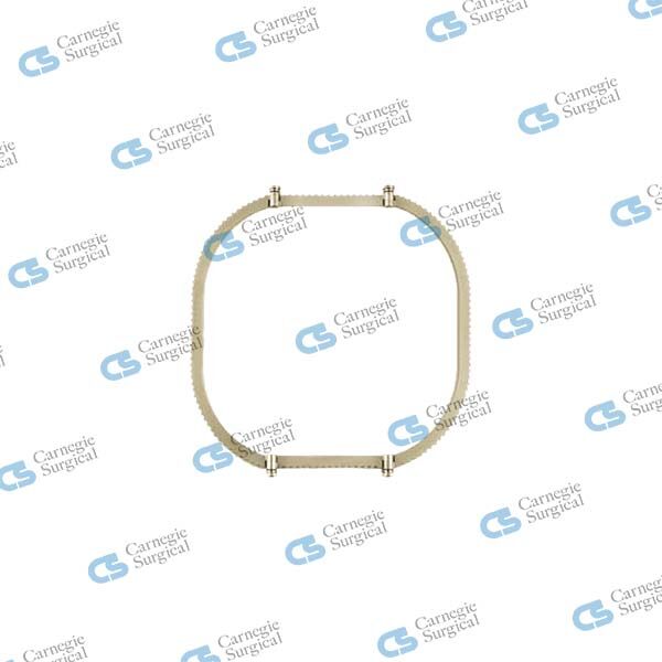 Eliptical segmented ring