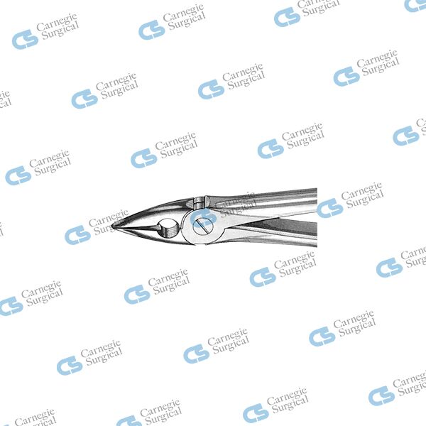 MEAD Extracting forceps english pattern upper incisors canines premolars & roots