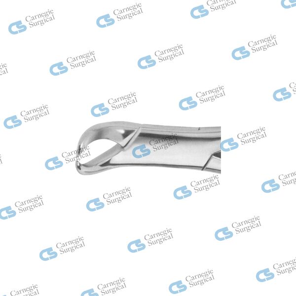 COWHORN Extracting forceps american pattern lower molar 16