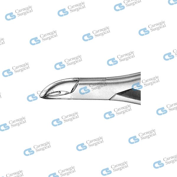 Extracting forceps american pattern upper & lower premolars 101 Extracting forceps american pattern upper & lower premolars 101