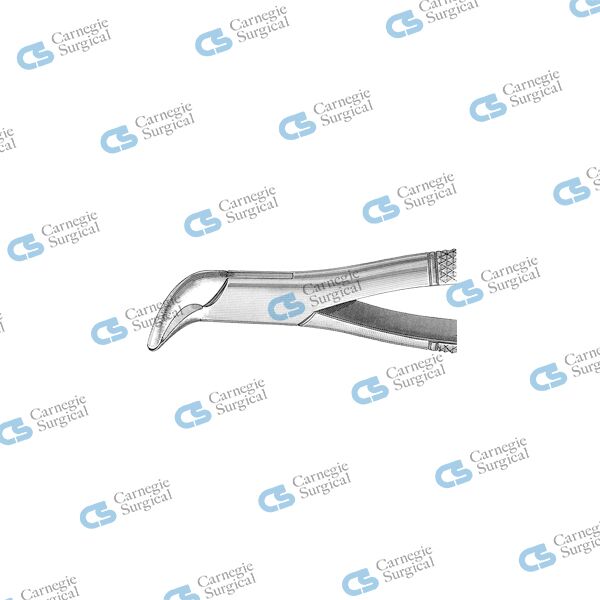 Extracting forceps american pattern lower incisors canines premolars & roots 203
