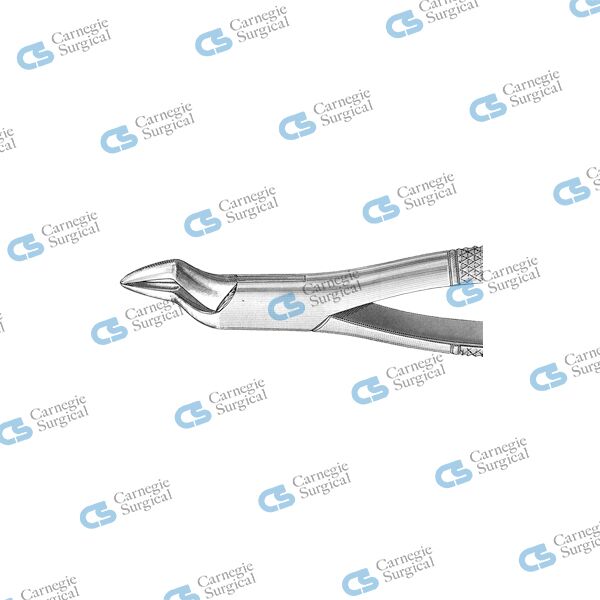 Extracting forceps american pattern upper roots incisors premolars 286