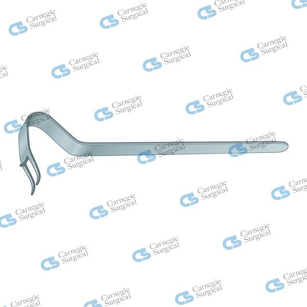 OBWEGESER Chin Holder
